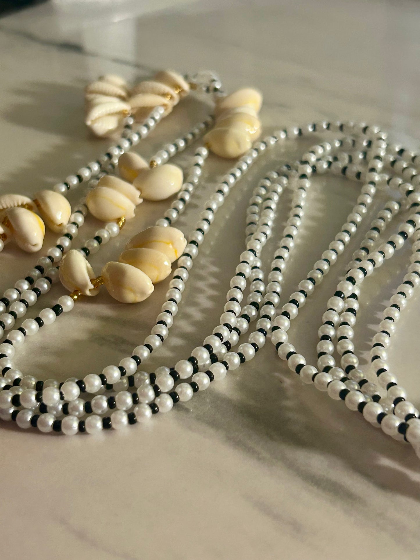 Shimmer & Shells