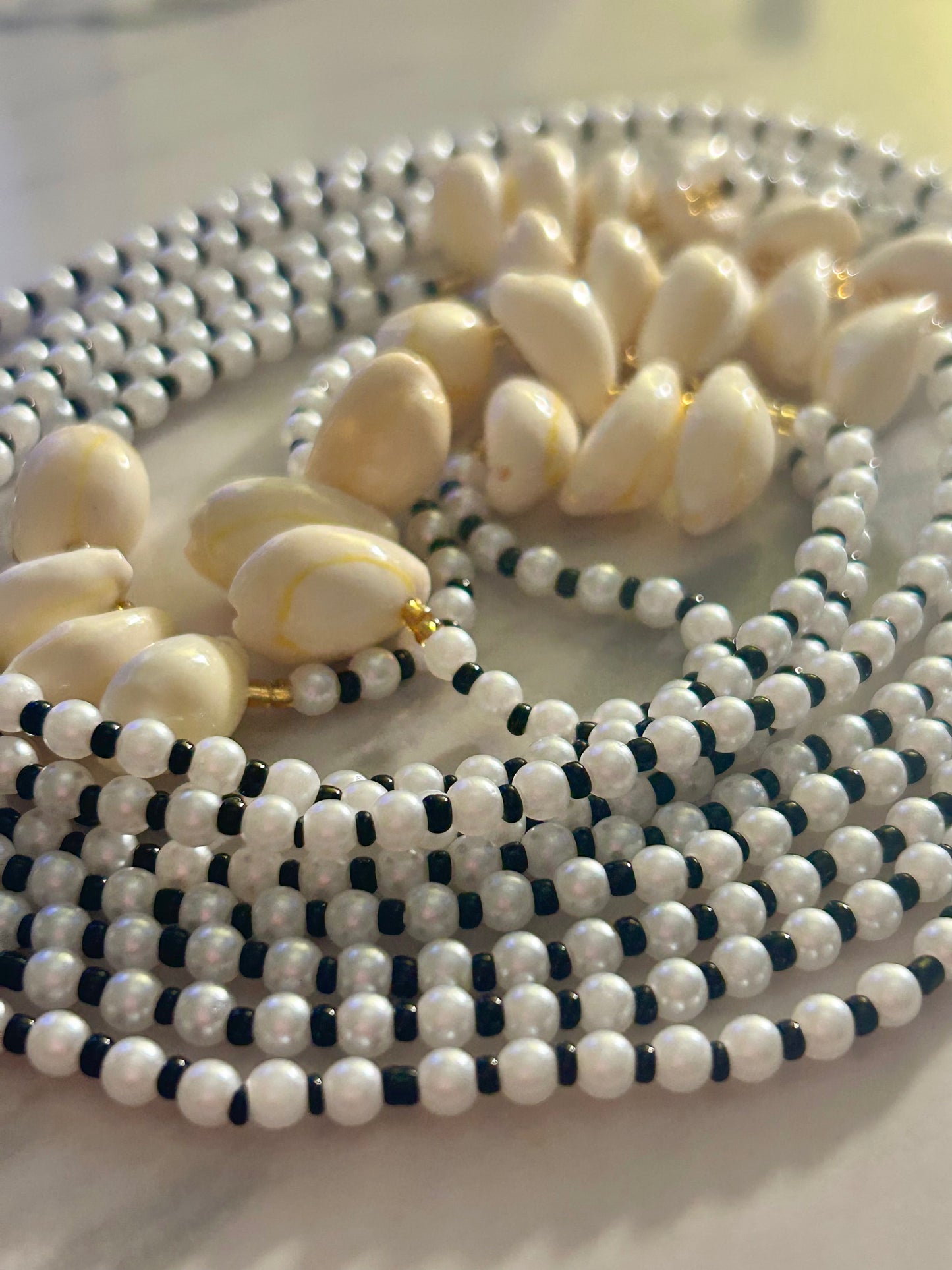 Shimmer & Shells