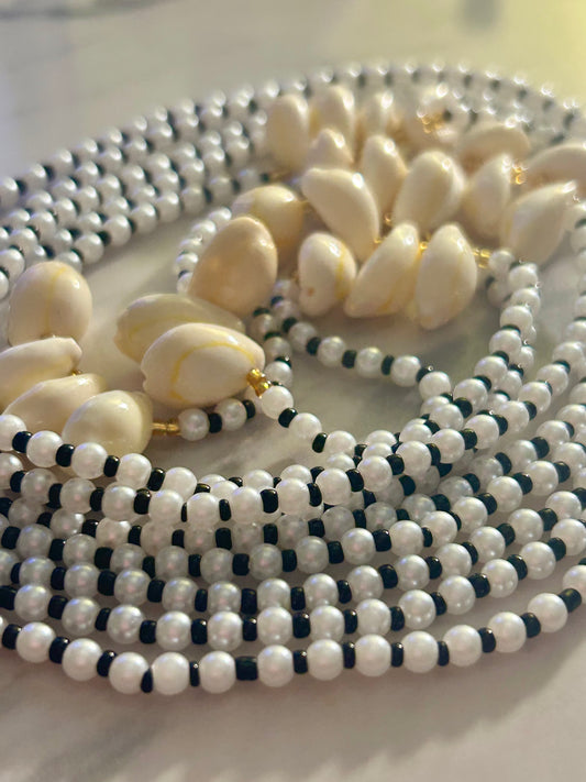 Shimmer & Shells